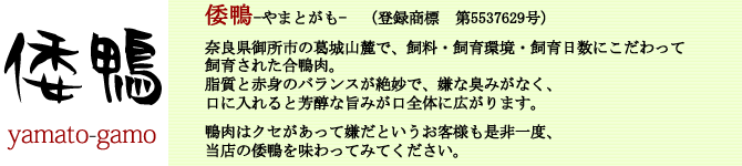 倭鴨の案内